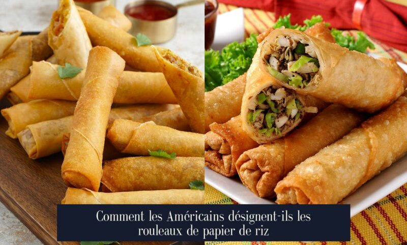 Comment les Américains désignent-ils les rouleaux de papier de riz