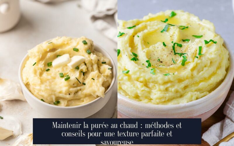 Maintenir la purée au chaud : méthodes et conseils pour une texture parfaite et savoureuse