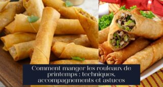 Comment manger les rouleaux de printemps : techniques, accompagnements et astuces