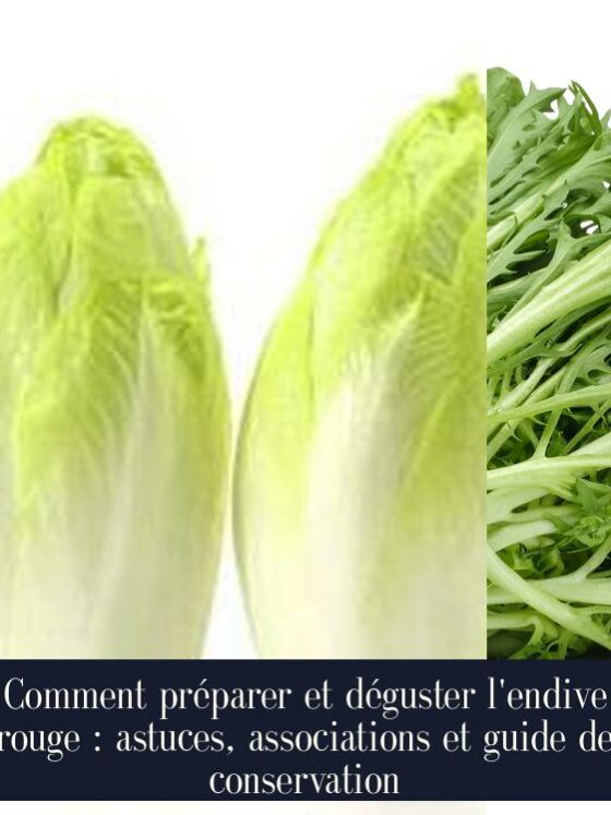 Comment préparer et déguster l'endive rouge : astuces, associations et guide de conservation
