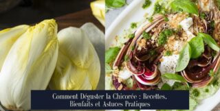 Comment Déguster la Chicorée : Recettes, Bienfaits et Astuces Pratiques