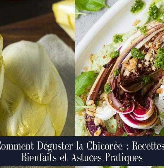 Comment Déguster la Chicorée : Recettes, Bienfaits et Astuces Pratiques