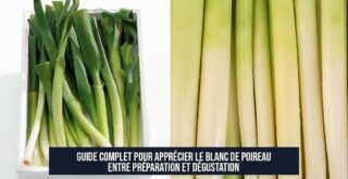 Guide Complet pour Apprécier le Blanc de Poireau entre Préparation et Dégustation