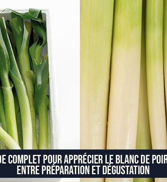 Guide Complet pour Apprécier le Blanc de Poireau entre Préparation et Dégustation