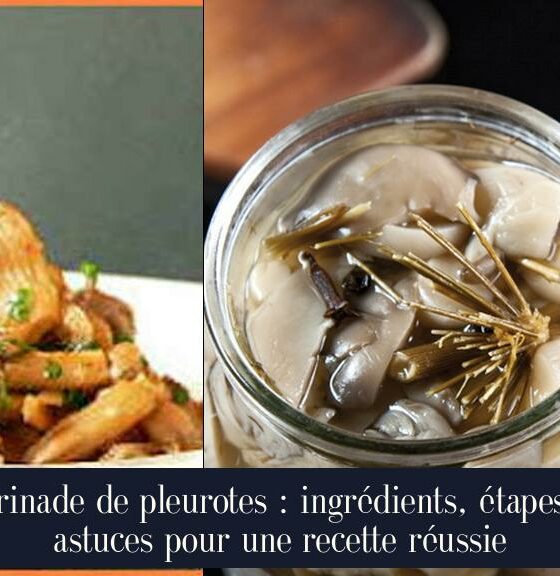 Marinade de pleurotes : ingrédients, étapes et astuces pour une recette réussie