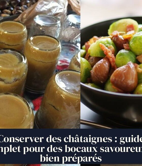 Conserver des châtaignes : guide complet pour des bocaux savoureux et bien préparés