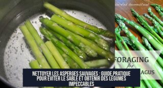 Nettoyer les asperges sauvages : Guide pratique pour éviter le sable et obtenir des légumes impeccables