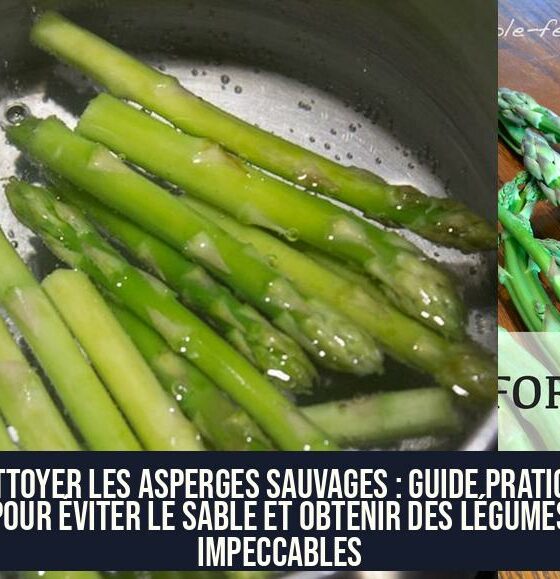 Nettoyer les asperges sauvages : Guide pratique pour éviter le sable et obtenir des légumes impeccables