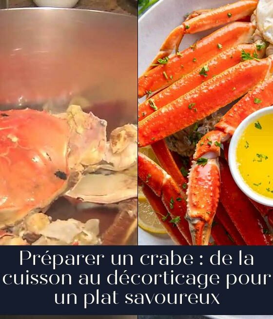 Préparer un crabe : de la cuisson au décorticage pour un plat savoureux