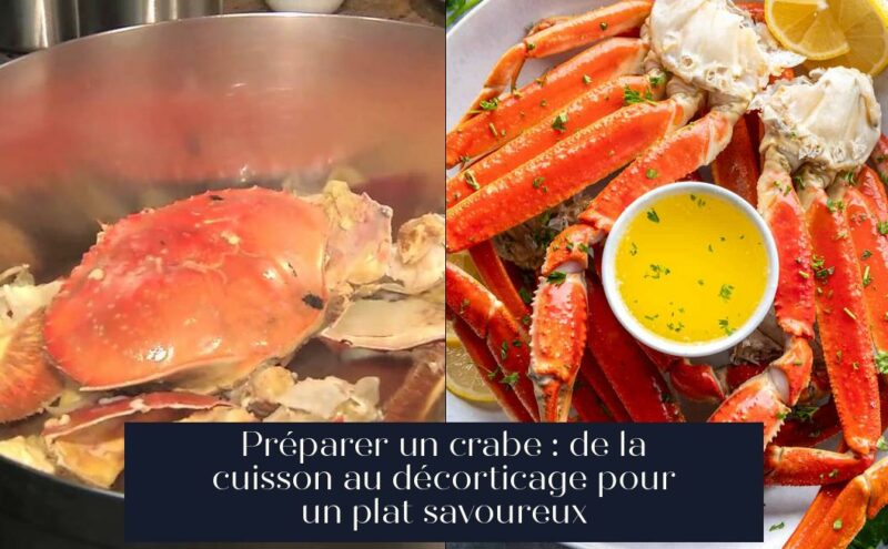 Préparer un crabe : de la cuisson au décorticage pour un plat savoureux