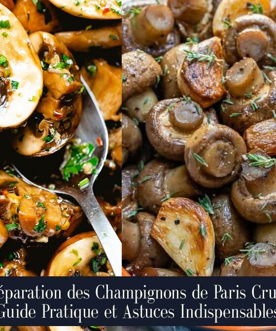 Préparation des Champignons de Paris Crus : Guide Pratique et Astuces Indispensables
