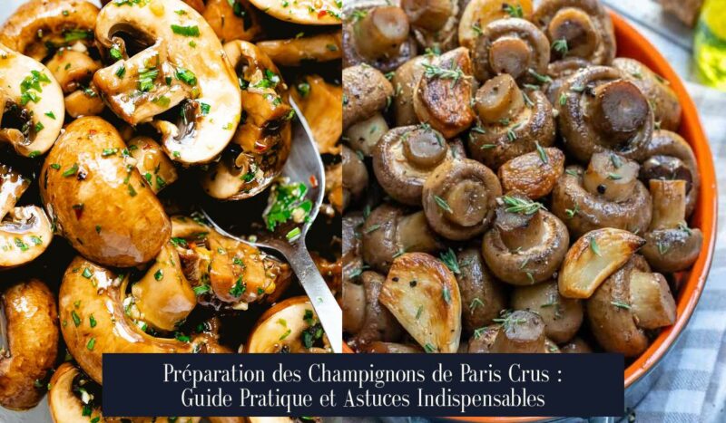 Préparation des Champignons de Paris Crus : Guide Pratique et Astuces Indispensables