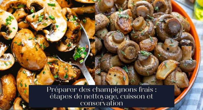 Préparer des champignons frais : étapes de nettoyage, cuisson et conservation