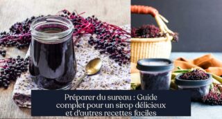 Préparer du sureau : Guide complet pour un sirop délicieux et d'autres recettes faciles