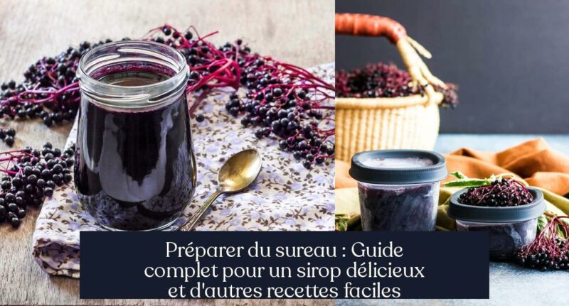 Préparer du sureau : Guide complet pour un sirop délicieux et d'autres recettes faciles