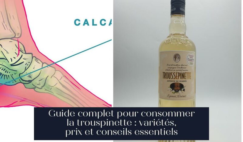 Guide complet pour consommer la trouspinette : variétés, prix et conseils essentiels