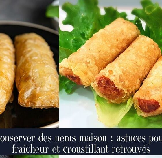 Conserver des nems maison : astuces pour fraîcheur et croustillant retrouvés