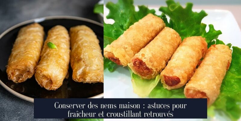 Conserver des nems maison : astuces pour fraîcheur et croustillant retrouvés