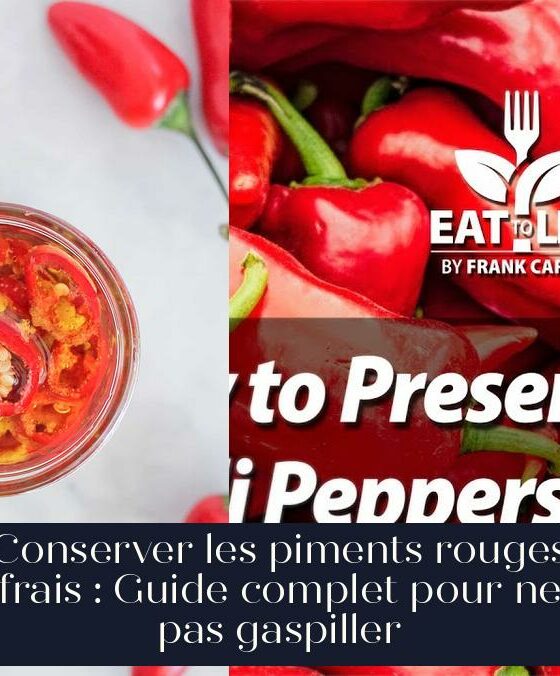 Conserver les piments rouges frais : Guide complet pour ne pas gaspiller