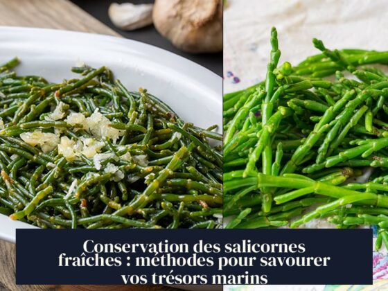 Conservation des salicornes fraîches : méthodes pour savourer vos trésors marins