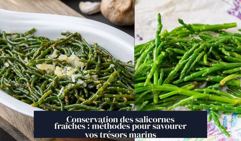 Conservation des salicornes fraîches : méthodes pour savourer vos trésors marins