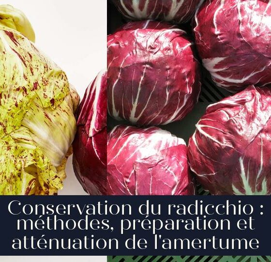 Conservation du radicchio : méthodes, préparation et atténuation de l'amertume