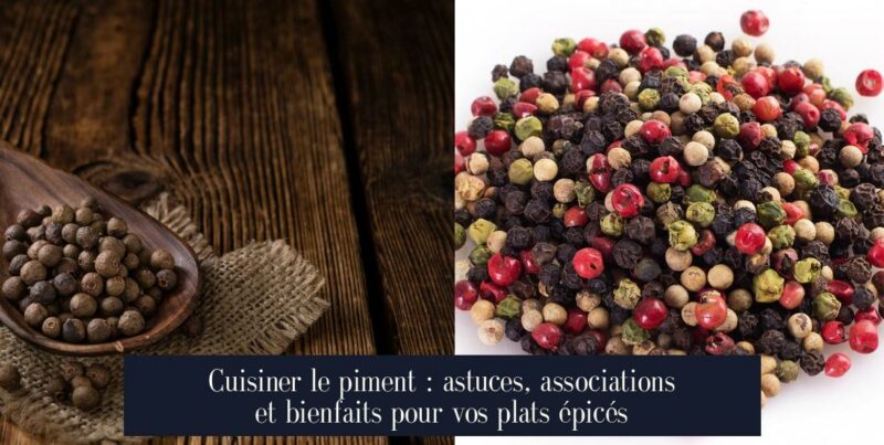Cuisiner le piment : astuces, associations et bienfaits pour vos plats épicés