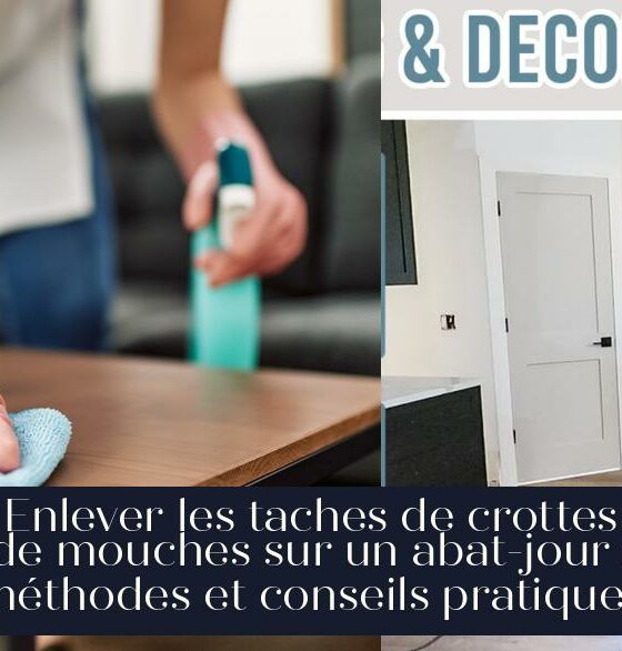 Enlever les taches de crottes de mouches sur un abat-jour : méthodes et conseils pratiques