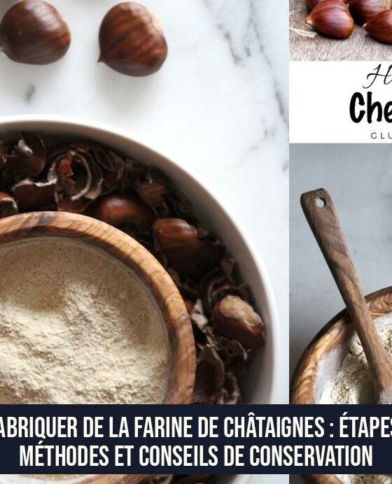 Fabriquer de la farine de châtaignes : étapes, méthodes et conseils de conservation