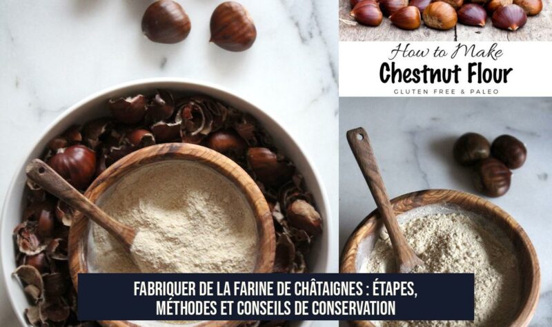 Fabriquer de la farine de châtaignes : étapes, méthodes et conseils de conservation