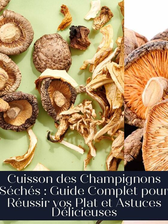 Cuisson des Champignons Séchés : Guide Complet pour Réussir vos Plat et Astuces Délicieuses
