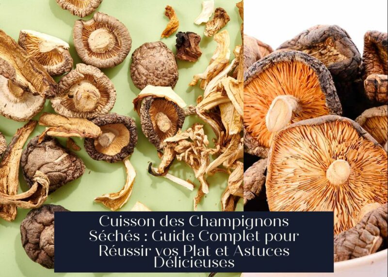 Cuisson des Champignons Séchés : Guide Complet pour Réussir vos Plat et Astuces Délicieuses