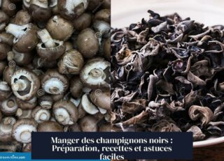 Manger des champignons noirs : Préparation, recettes et astuces faciles
