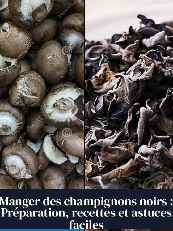 Manger des champignons noirs : Préparation, recettes et astuces faciles