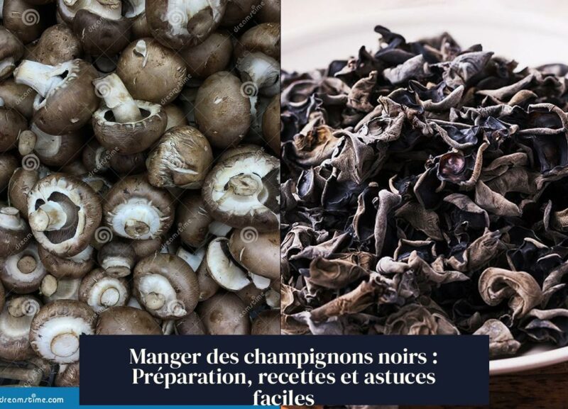 Manger des champignons noirs : Préparation, recettes et astuces faciles