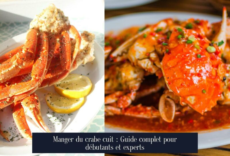 Manger du crabe cuit : Guide complet pour débutants et experts