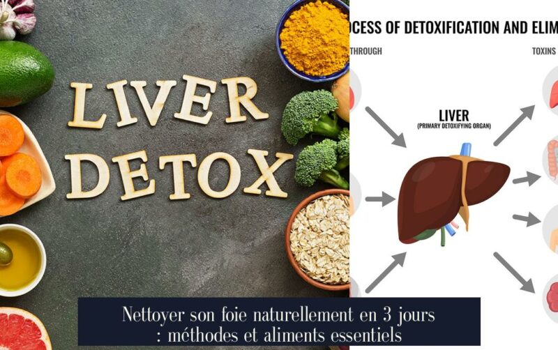 Nettoyer son foie naturellement en 3 jours : méthodes et aliments essentiels