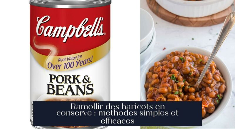 Ramollir des haricots en conserve : méthodes simples et efficaces
