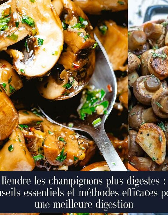 Rendre les champignons plus digestes : conseils essentiels et méthodes efficaces pour une meilleure digestion