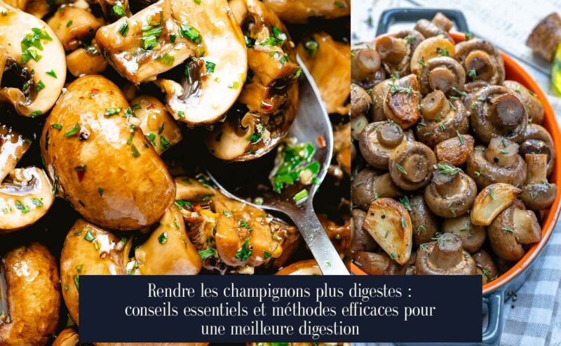 Rendre les champignons plus digestes : conseils essentiels et méthodes efficaces pour une meilleure digestion