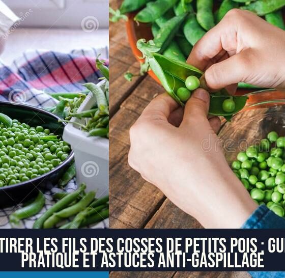 Retirer les fils des cosses de petits pois : guide pratique et astuces anti-gaspillage