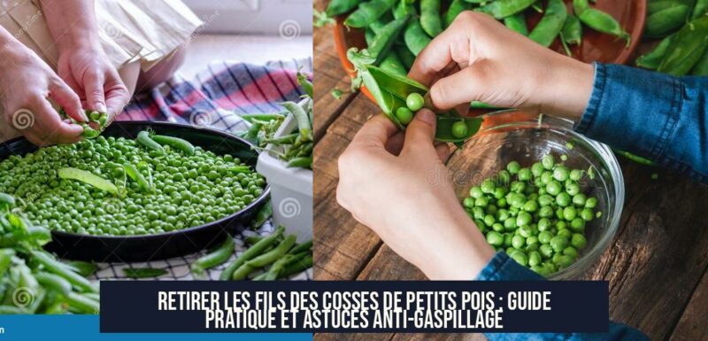 Retirer les fils des cosses de petits pois : guide pratique et astuces anti-gaspillage