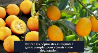 Retirer les pépins des kumquats : guide complet pour réussir votre dégustation
