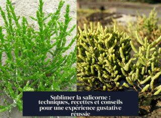 Sublimer la salicorne : techniques, recettes et conseils pour une expérience gustative réussie
