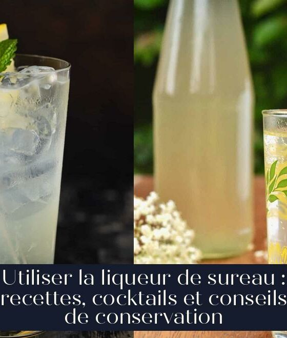 Utiliser la liqueur de sureau : recettes, cocktails et conseils de conservation