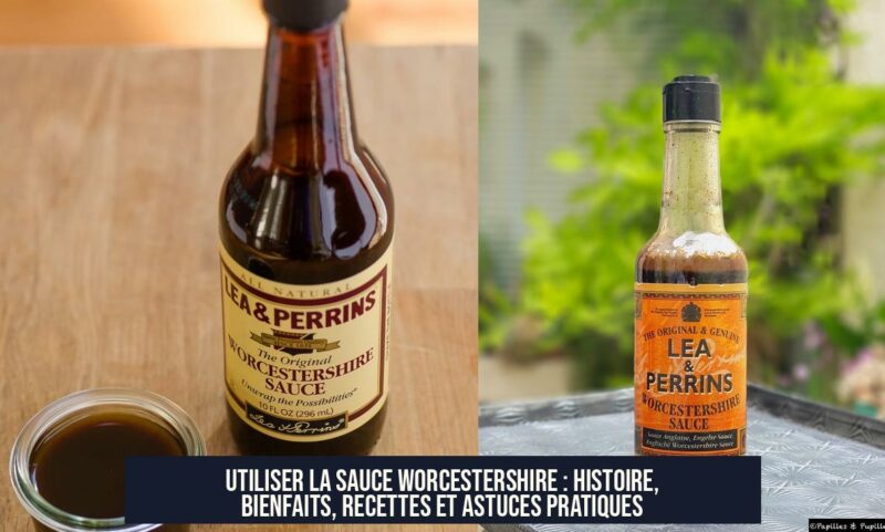 Utiliser la sauce Worcestershire : Histoire, bienfaits, recettes et astuces pratiques