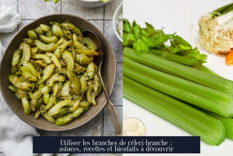 Utiliser les branches de céleri-branche : astuces, recettes et bienfaits à découvrir