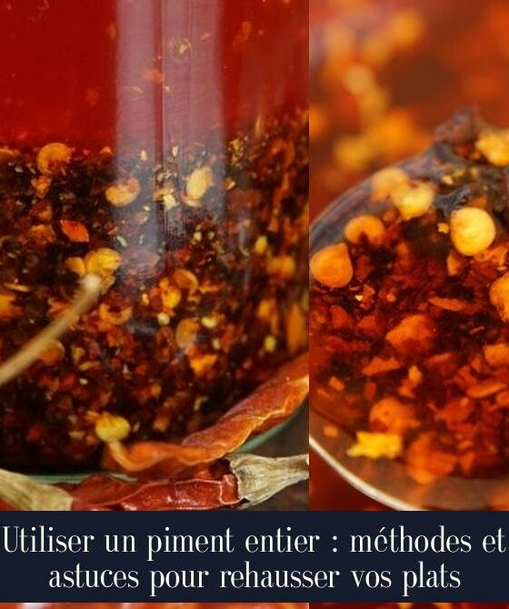 Utiliser un piment entier : méthodes et astuces pour rehausser vos plats