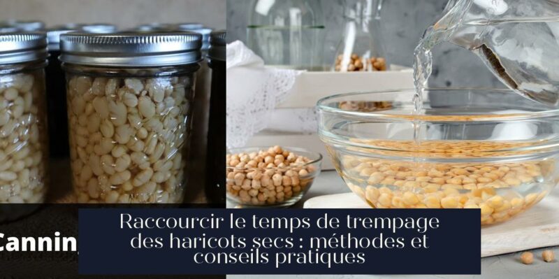 Raccourcir le temps de trempage des haricots secs : méthodes et conseils pratiques