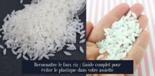 Reconnaître le faux riz : Guide complet pour éviter le plastique dans votre assiette